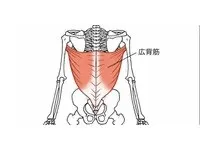 受け腰反り腰part2