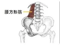 身体を健やかに保つストレッチ